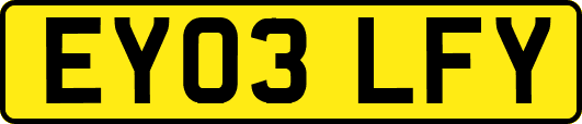 EY03LFY