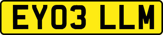EY03LLM
