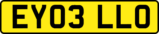 EY03LLO
