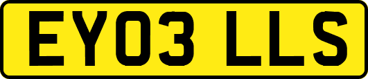 EY03LLS