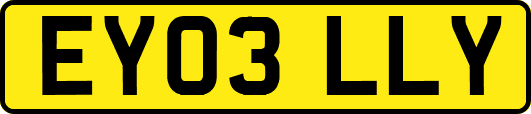 EY03LLY