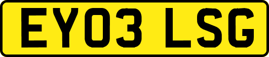 EY03LSG