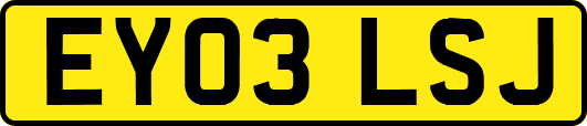 EY03LSJ
