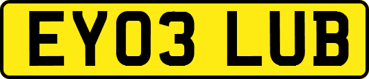 EY03LUB