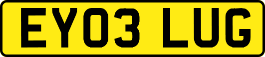 EY03LUG