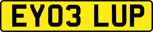 EY03LUP