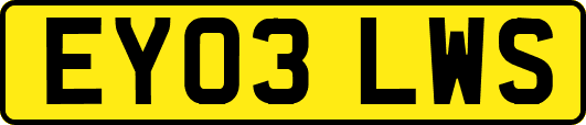EY03LWS