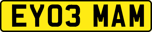 EY03MAM