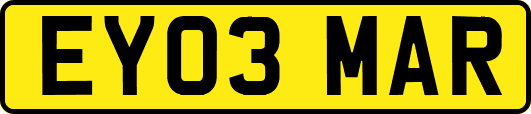 EY03MAR