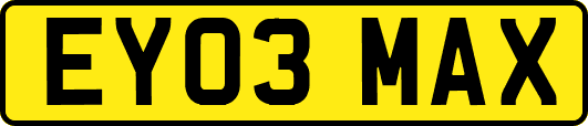 EY03MAX