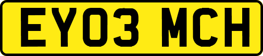 EY03MCH