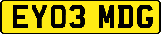 EY03MDG