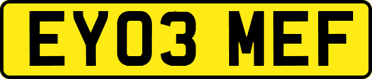 EY03MEF