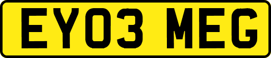 EY03MEG