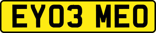 EY03MEO