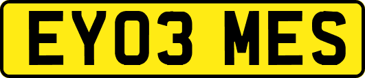 EY03MES