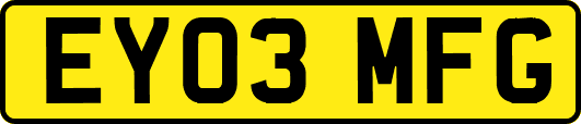 EY03MFG