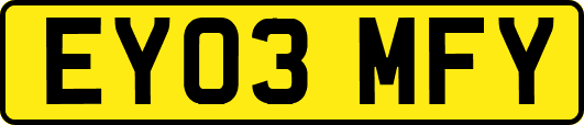 EY03MFY