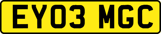 EY03MGC