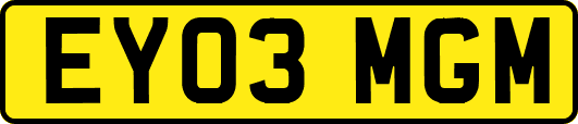 EY03MGM