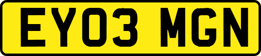EY03MGN