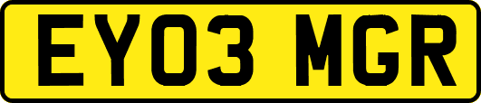 EY03MGR