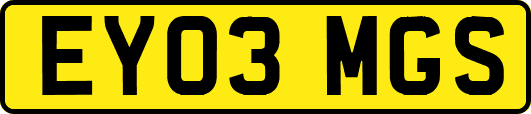 EY03MGS