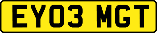 EY03MGT