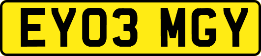 EY03MGY