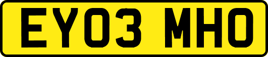 EY03MHO