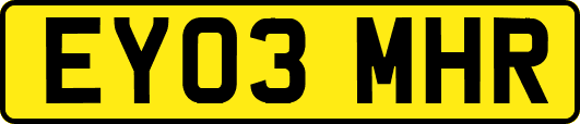 EY03MHR