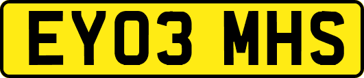 EY03MHS