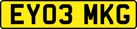 EY03MKG