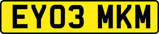 EY03MKM