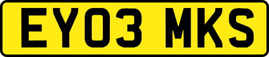 EY03MKS