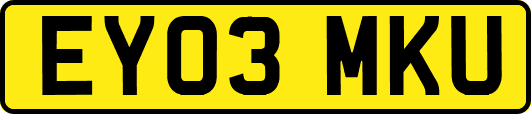 EY03MKU