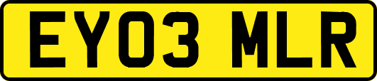 EY03MLR