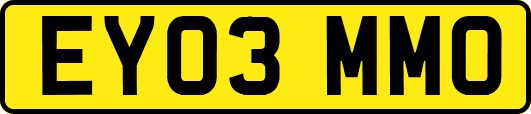 EY03MMO