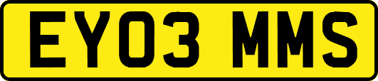 EY03MMS