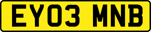 EY03MNB