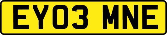 EY03MNE