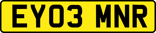 EY03MNR