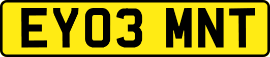 EY03MNT