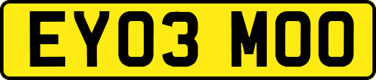 EY03MOO