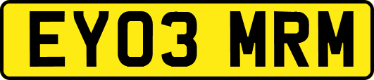 EY03MRM
