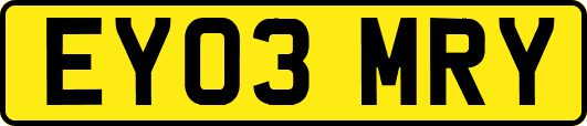 EY03MRY