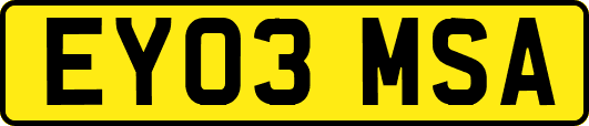 EY03MSA