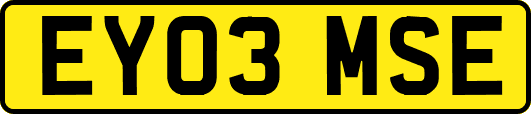 EY03MSE