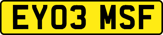 EY03MSF