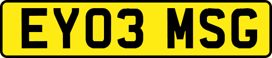 EY03MSG